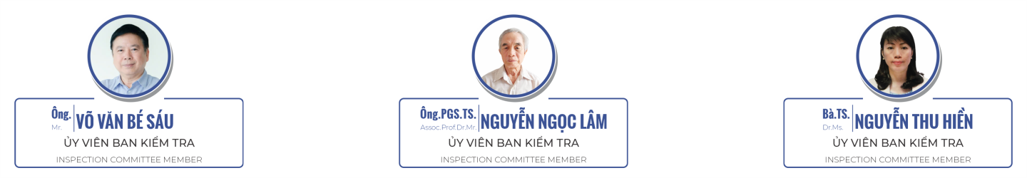 BKT HAuA NK VI